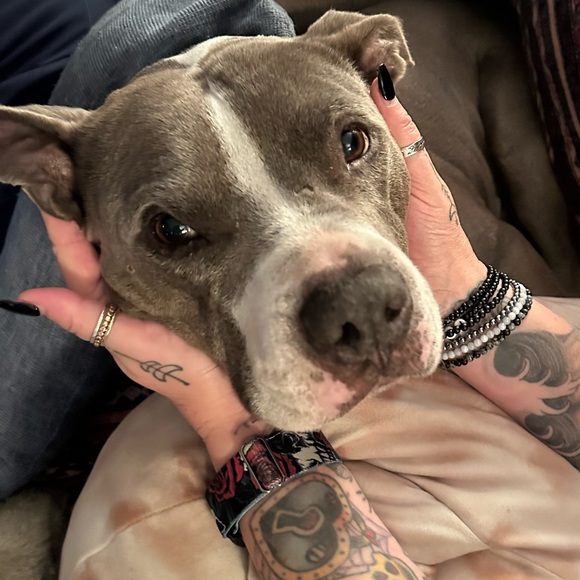 SALE - RAISING MONEY FOR CANCER TREATMENT! - Picture 3 of 12